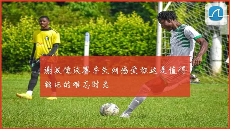 谢泼德谈赛季失利感受称这是值得铭记的难忘时光