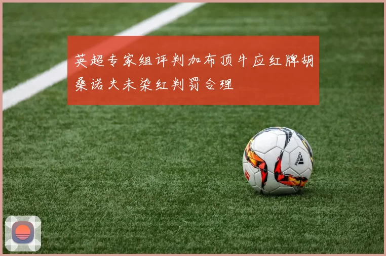 英超专家组评判加布顶牛应红牌胡桑诺夫未染红判罚合理